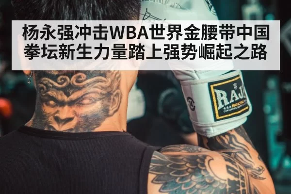 chinese boxer